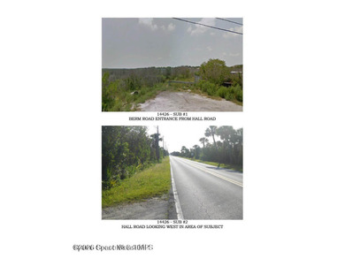 Beautiful wooded 44.39 acres in Merritt Island along the snake - photo 5