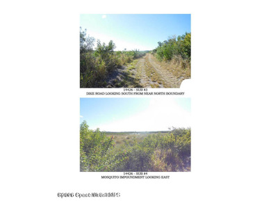 Beautiful wooded 44.39 acres in Merritt Island along the snake - photo 6