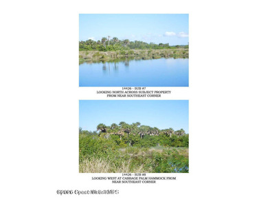 Beautiful wooded 44.39 acres in Merritt Island along the snake - photo 8