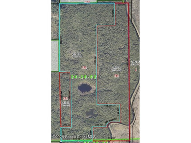 Beautiful wooded 44.39 acres in Merritt Island along the snake - photo 10