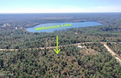Lake Lot For Sale in Alford, Florida