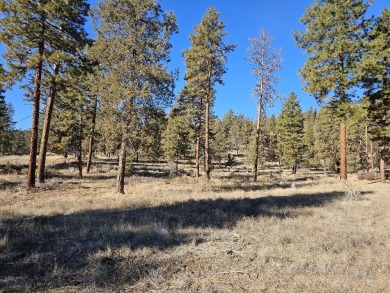 Upper Klamath Lake Lot For Sale in Klamath Falls Oregon
