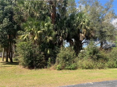 Lake Lot Off Market in Silver Springs, Florida