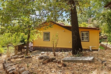 10294 Red Eye Rd - photo 40