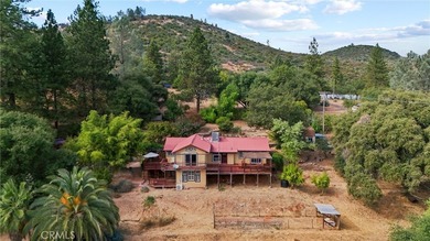 10294 Red Eye Rd - photo 41
