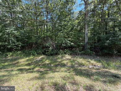 Lake Acreage For Sale in Valley Lee, Maryland