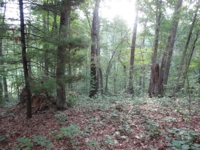 Lewisburg Corp- Country Club Lane- 0.5 acre lot fronts and