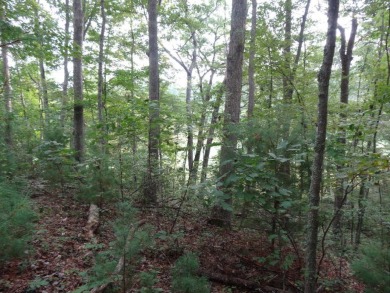 Lewisburg Corp- Country Club Lane- 0.5 acre lot fronts and