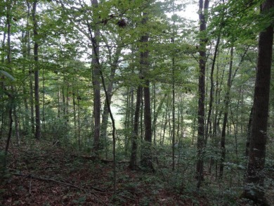 Lewisburg Corp- Country Club Lane- 0.5 acre lot fronts and