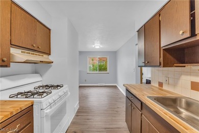 Turnkey up-and-down duplex in Euclid offering immediate cash - photo 21