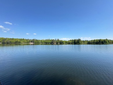 Nestled on a wooded lot on beautiful 204 AC BOOTH lake, this - photo 39