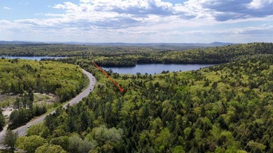 Large undeveloped lot with approximately 1700' on Acadia Highway - photo 1