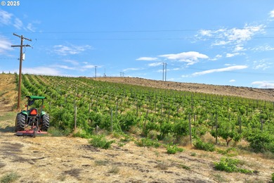 Columbia River - Klickitat County Acreage For Sale in Dallesport Washington