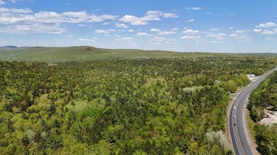 Large undeveloped lot with approximately 1700' on Acadia Highway - photo 3