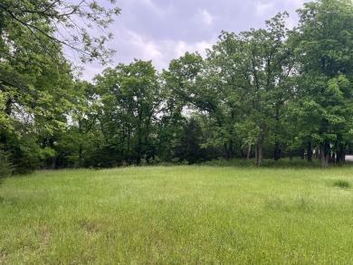 Lake Springfield Acreage For Sale in Ozark Missouri