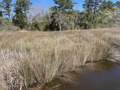 Gorgeous 4.2 acre waterfront homesite, AND a 1.3 acre - photo 2