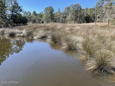 Gorgeous 4.2 acre waterfront homesite, AND a 1.3 acre - photo 3