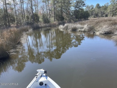 Gorgeous 4.2 acre waterfront homesite, AND a 1.3 acre - photo 4