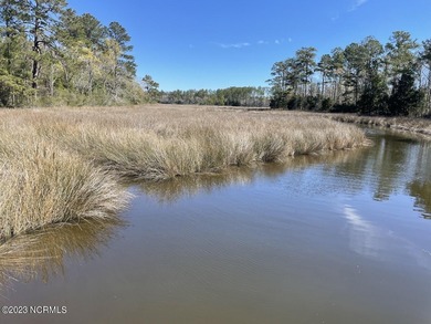 Gorgeous 4.2 acre waterfront homesite, AND a 1.3 acre - photo 6