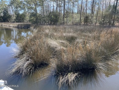 Gorgeous 4.2 acre waterfront homesite, AND a 1.3 acre - photo 8