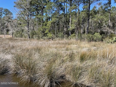 Gorgeous 4.2 acre waterfront homesite, AND a 1.3 acre - photo 9