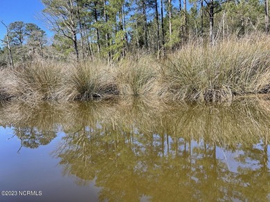 Gorgeous 4.2 acre waterfront homesite, AND a 1.3 acre - photo 10