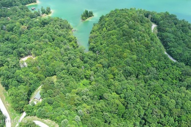 ~One of the most AFFORDABLE LAKEFRONT lots on Norris Lake!!! ~ - photo 12