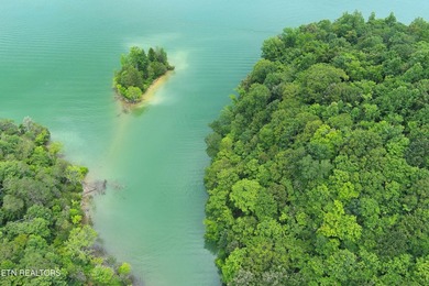 ~One of the most AFFORDABLE LAKEFRONT lots on Norris Lake!!! ~ - photo 13