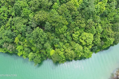 ~One of the most AFFORDABLE LAKEFRONT lots on Norris Lake!!! ~ - photo 14