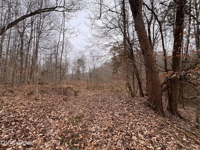 ~One of the most AFFORDABLE LAKEFRONT lots on Norris Lake!!! ~ - photo 16