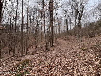 ~One of the most AFFORDABLE LAKEFRONT lots on Norris Lake!!! ~ - photo 17