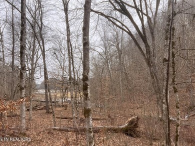 ~One of the most AFFORDABLE LAKEFRONT lots on Norris Lake!!! ~ - photo 18