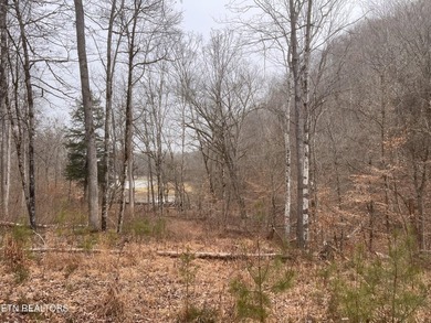 ~One of the most AFFORDABLE LAKEFRONT lots on Norris Lake!!! ~ - photo 19