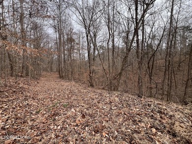~One of the most AFFORDABLE LAKEFRONT lots on Norris Lake!!! ~ - photo 20
