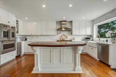 Luxury Lake Living with Spectacular VIEWS! Perched to capture - photo 21