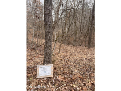 ~One of the most AFFORDABLE LAKEFRONT lots on Norris Lake!!! ~ - photo 21