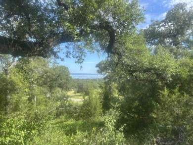 Lake Lot For Sale in Buchanan Dam, Texas