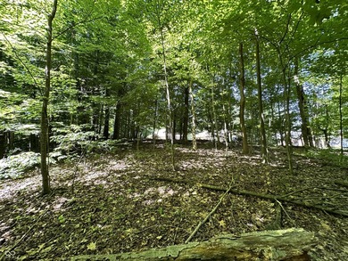 Stop Searching-Start Building! These TWO spacious, waterfront - photo 16