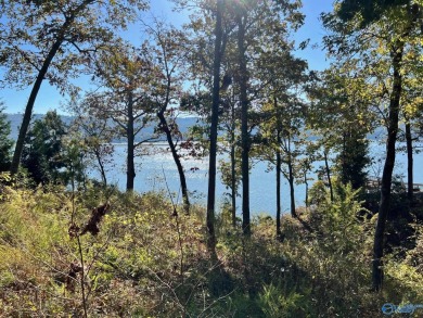 Lake Lot For Sale in Scottsboro, Alabama