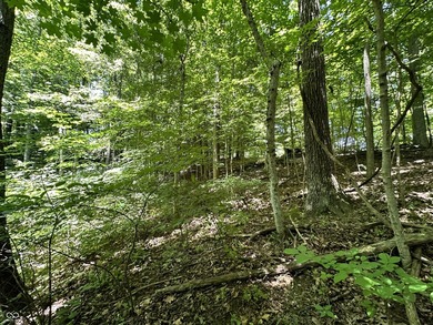 Stop Searching-Start Building! These TWO spacious, waterfront - photo 25