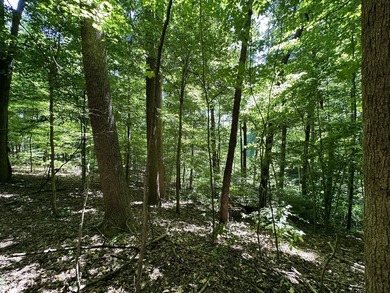 Stop Searching-Start Building! These TWO spacious, waterfront - photo 32
