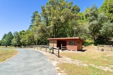 2800 Lockhart Gulch offers a rare opportunity to own an - photo 42