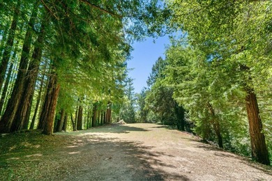 2800 Lockhart Gulch offers a rare opportunity to own an - photo 46