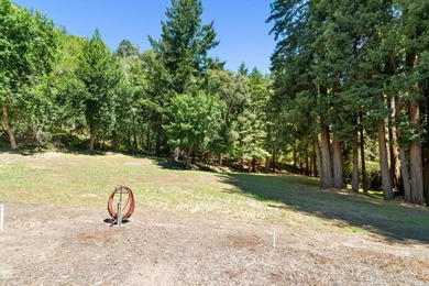 2800 Lockhart Gulch offers a rare opportunity to own an - photo 47
