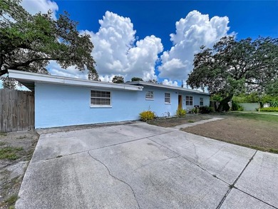 LOCATION, LOCATION, LOCATION! Not in flood zone, No HOA, No CDD! - photo 12
