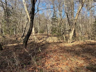 Premier 76+/- acre riverfront tract located at the rare - photo 16
