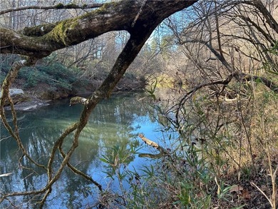 Premier 76+/- acre riverfront tract located at the rare - photo 17