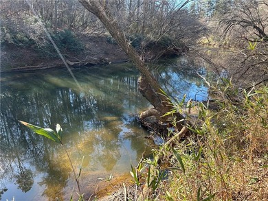 Premier 76+/- acre riverfront tract located at the rare - photo 19