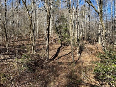 Premier 76+/- acre riverfront tract located at the rare - photo 20