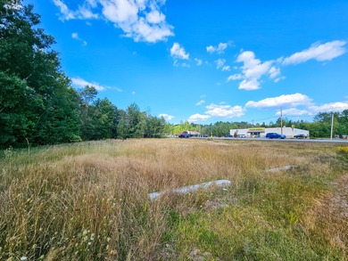 COMMERCIAL LOT WITH GREAT VISIBILITY AND HIGH TRAFFIC COUNT ON - photo 13